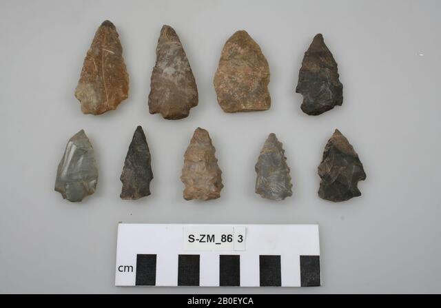 Collection of stone arrowheads showing various shapes and notching techniques